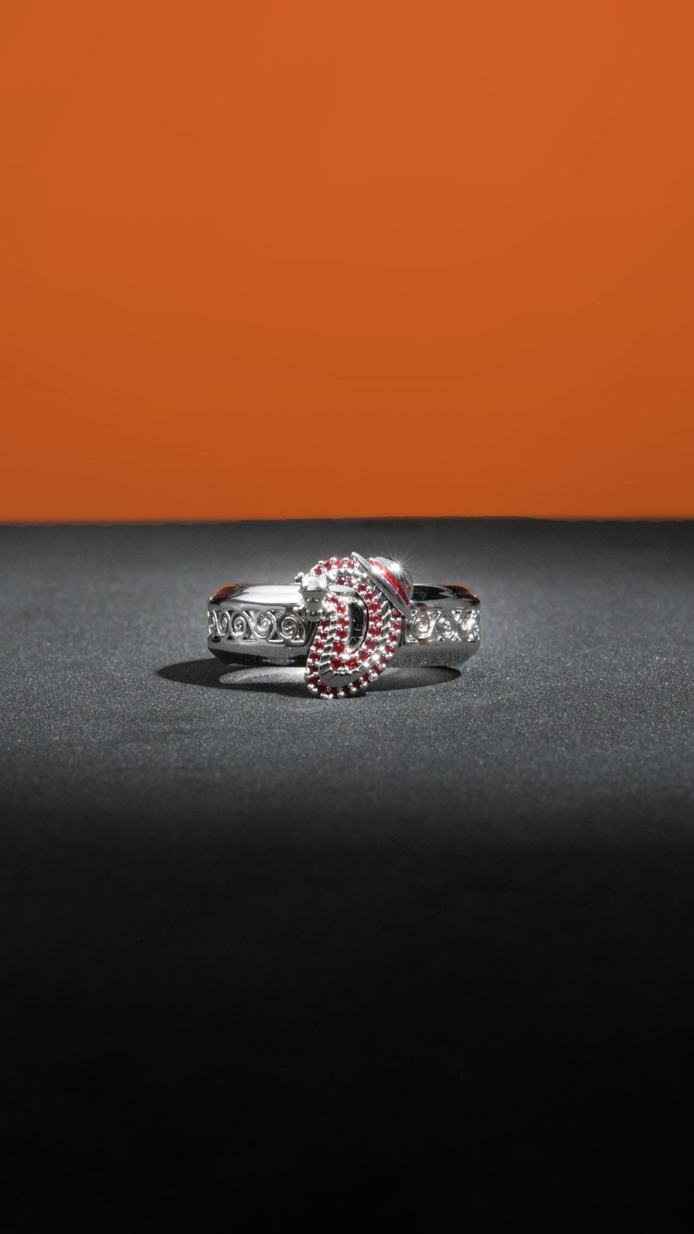 Luffy ring front view